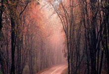 乐鱼体育在线娱乐-今夜金州彻夜无眠！20分惊天逆转撕碎质疑，死亡五小2.0剑指总决