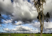 乐鱼体育在线娱乐-今夜金州彻夜无眠！20分惊天逆转撕碎质疑，死亡五小2.0剑指总决