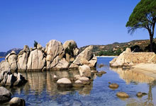 乐鱼登录-曼联阵容齐整，劲旅全力以赴世俱杯争冠