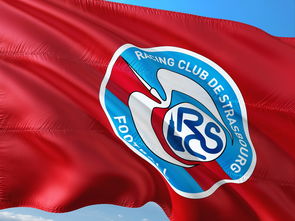 乐鱼体育官网-帕尔梅拉斯调整进攻阵容，应对强力防守