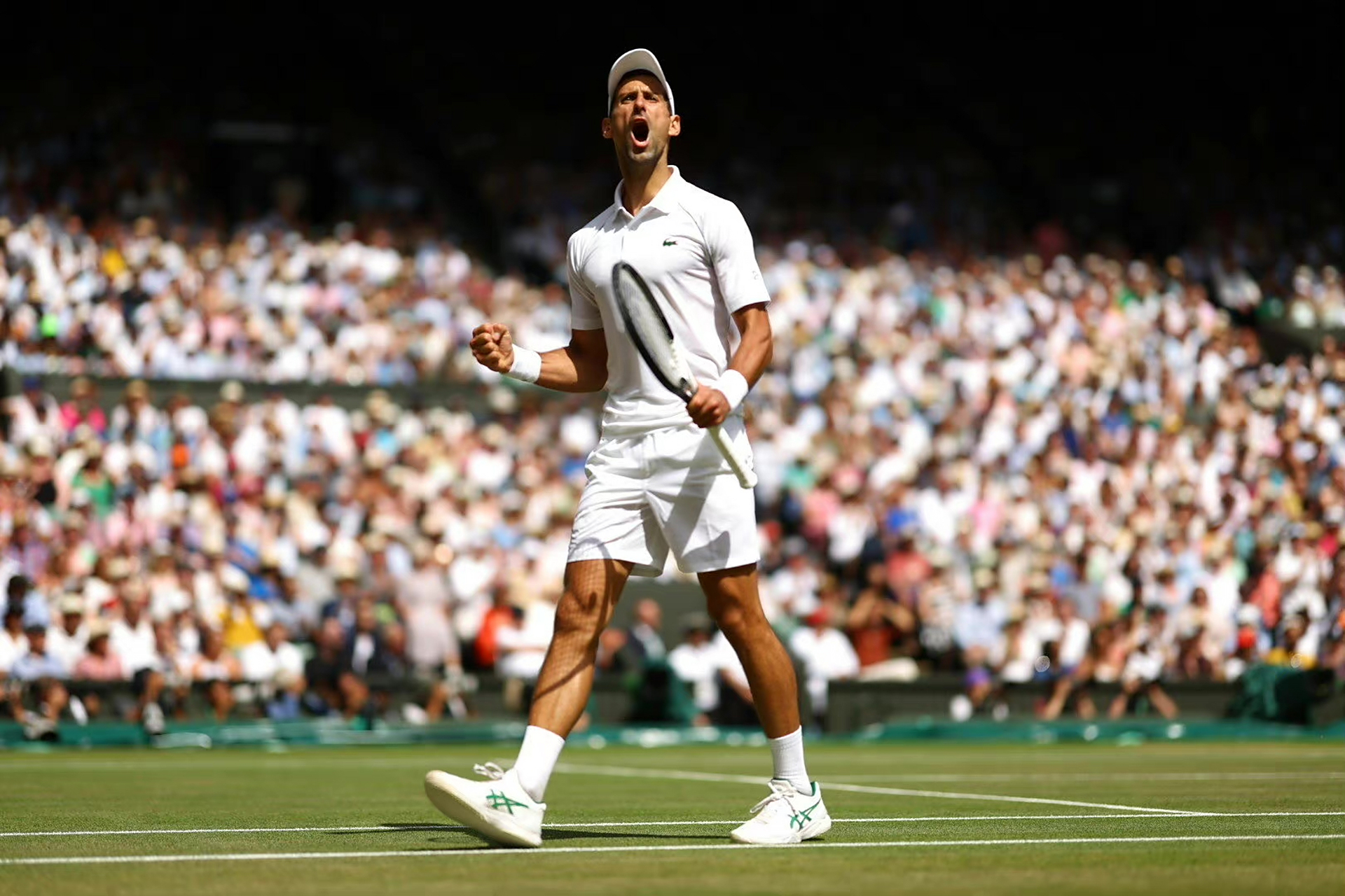 日本网球队逆转意大利网球队,克耶高斯打破历史纪录 日本网球队逆转意大利网球队,克耶高斯打破历史纪录